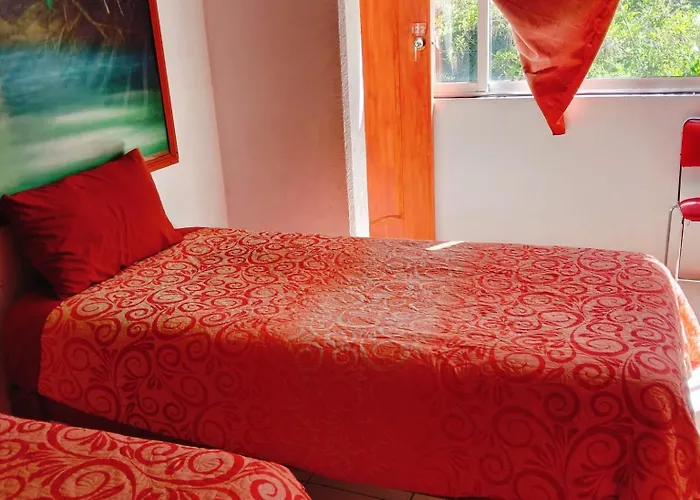 Homestay Lindo *